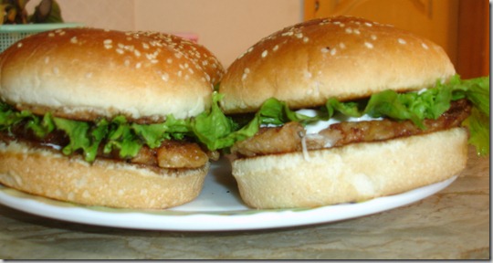Hot And Spicy Chicken Burger